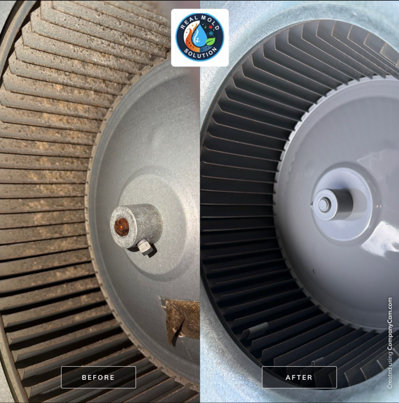 Kitchen mold case — cabinets · AC blower section cleaned · referenced from St. Cloud, FL service area · before/after lab cleared