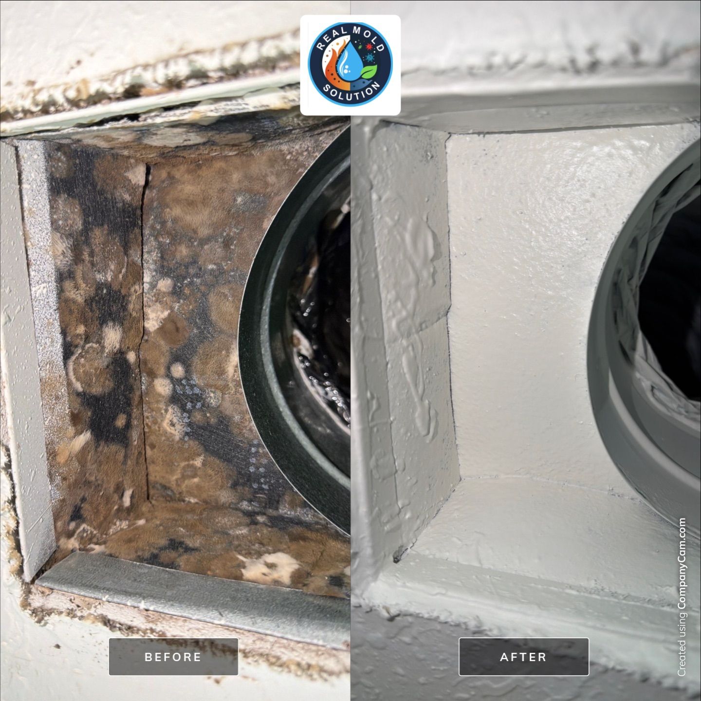 Commercial HVAC mold case — duct register cleaning · referenced from St. Cloud, FL service area · before/after lab cleared