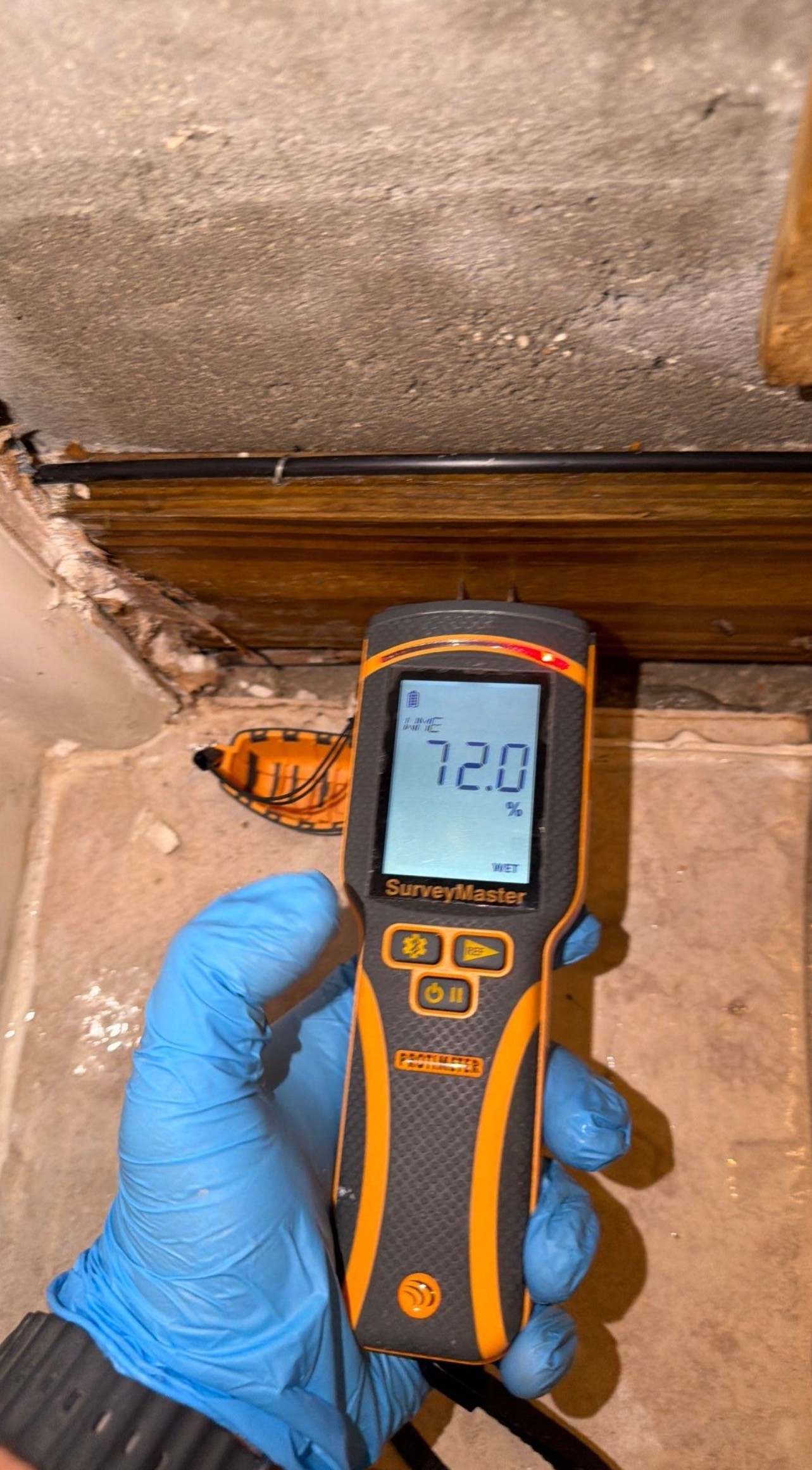 Free mold inspection moisture meter detection in St. Cloud, FL — thermal imaging + written estimate
