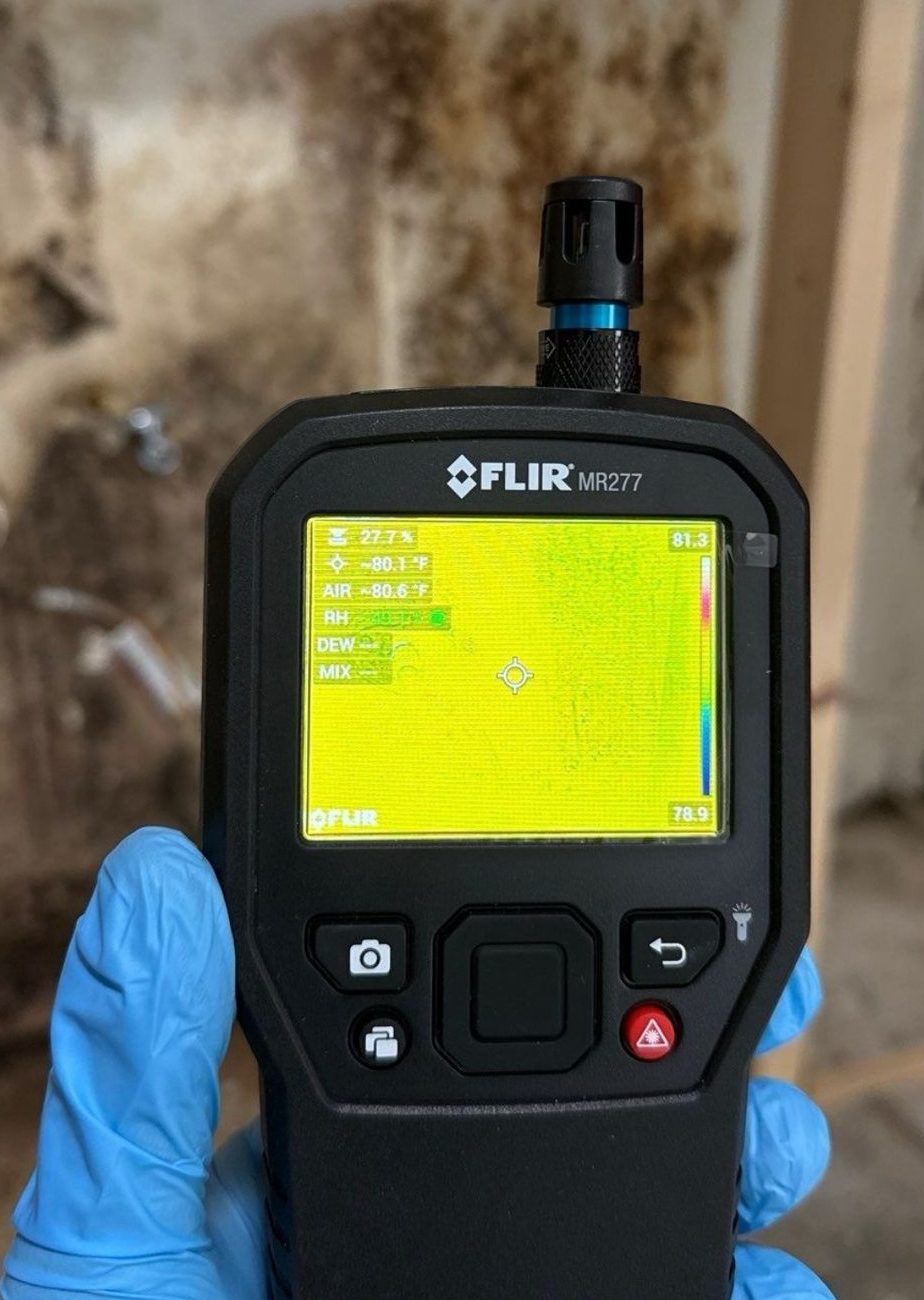 Professional mold inspection and remediation service in Kissimmee, FL