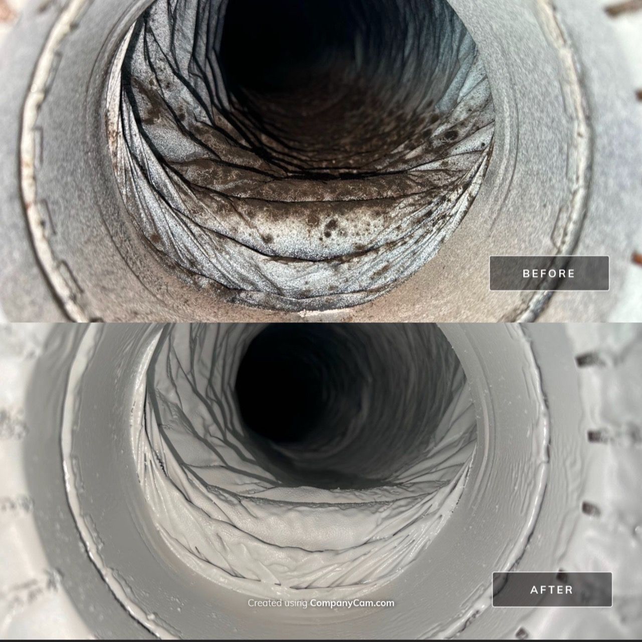 Professional mold inspection and remediation service in Kissimmee, FL