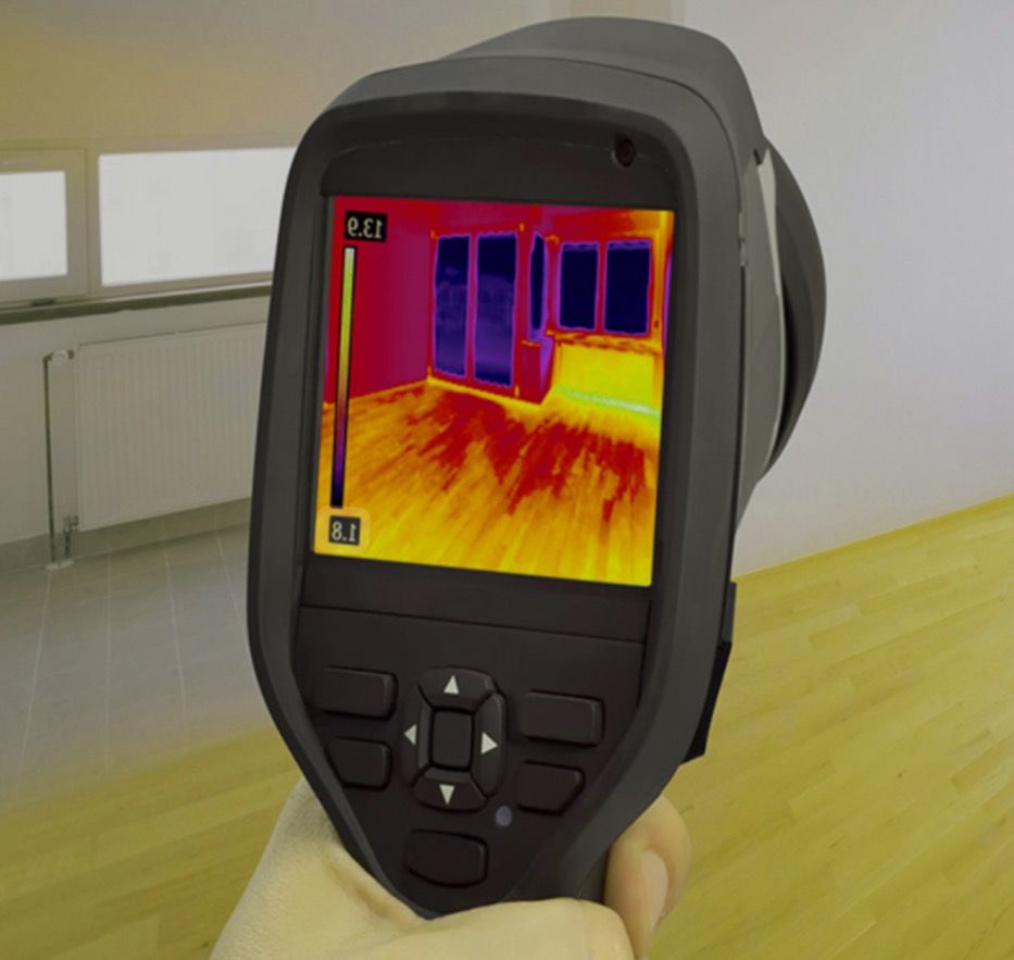 Professional mold inspection and remediation service in Kissimmee, FL