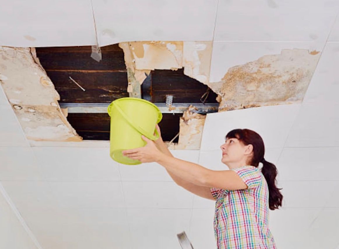 Professional mold inspection and remediation service in Kissimmee, FL