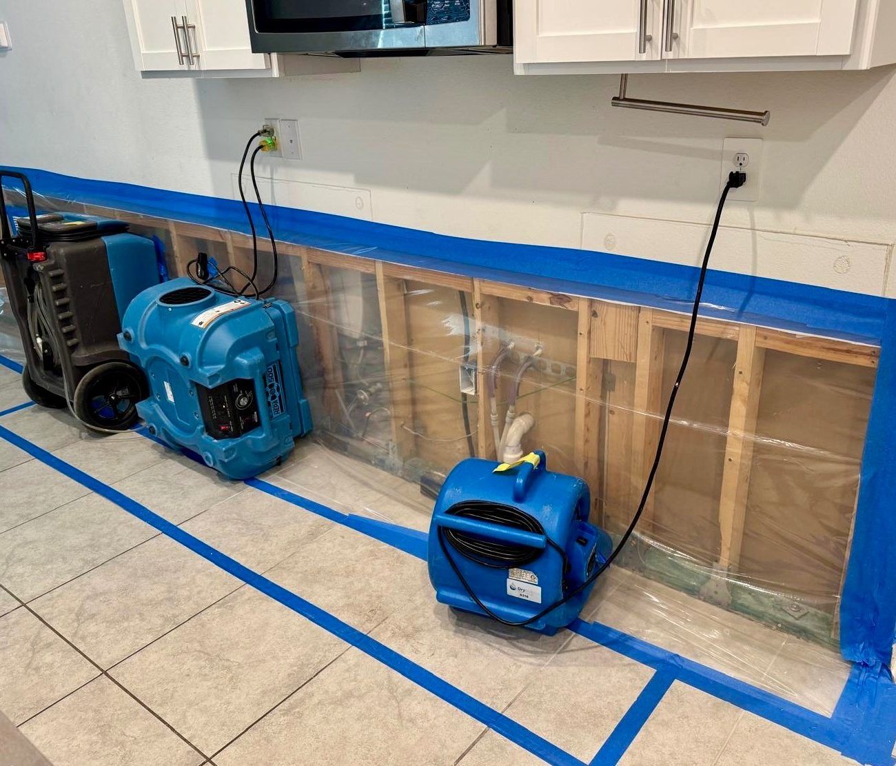 Professional mold inspection and remediation service in Kissimmee, FL