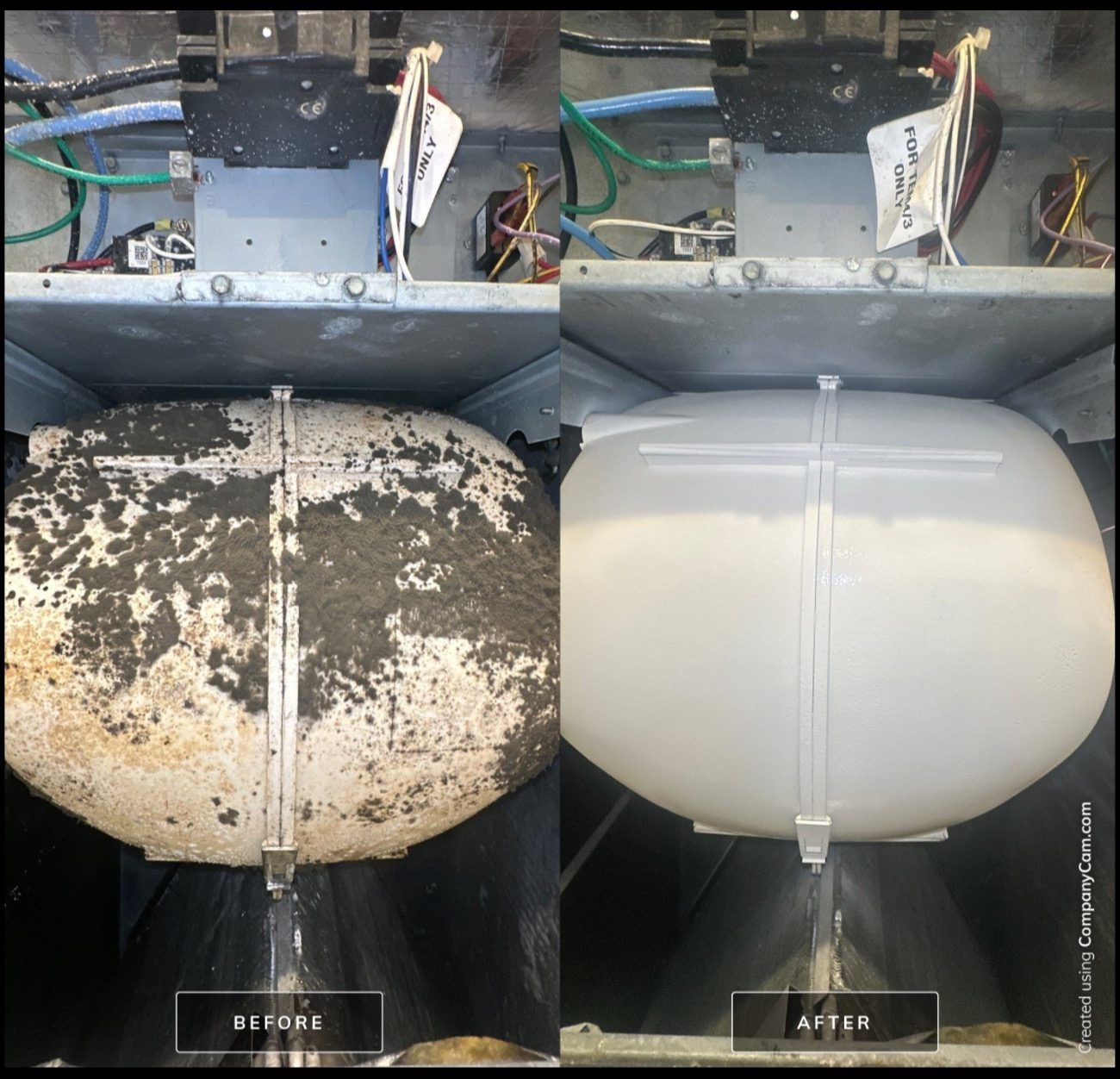 Professional mold inspection and remediation service in Kissimmee, FL