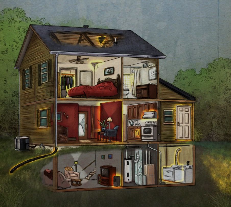 Professional mold inspection and remediation service in Kissimmee, FL