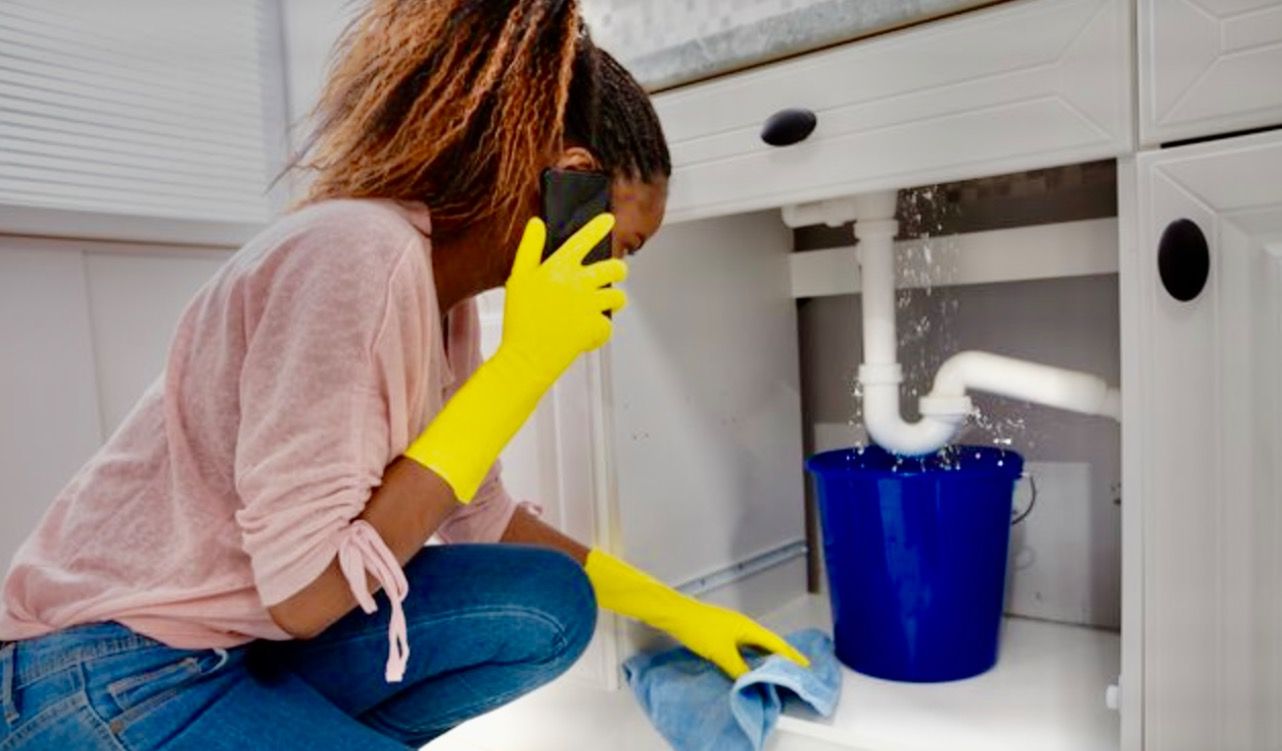 Professional mold inspection and remediation service in Kissimmee, FL