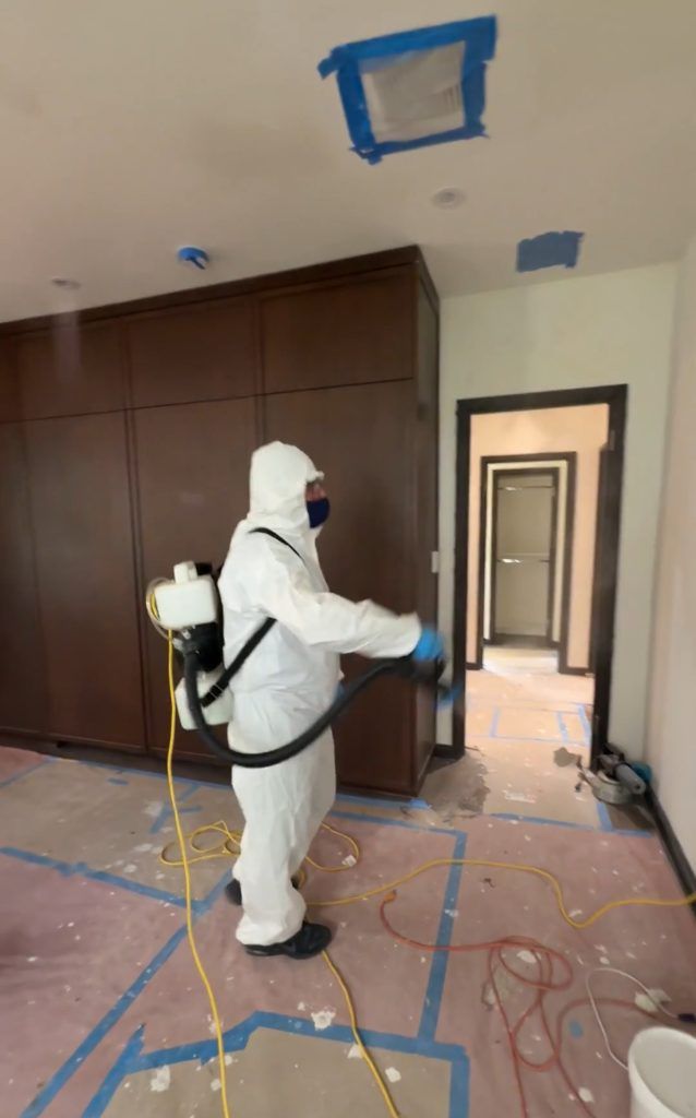 Professional mold inspection and remediation service in Kissimmee, FL