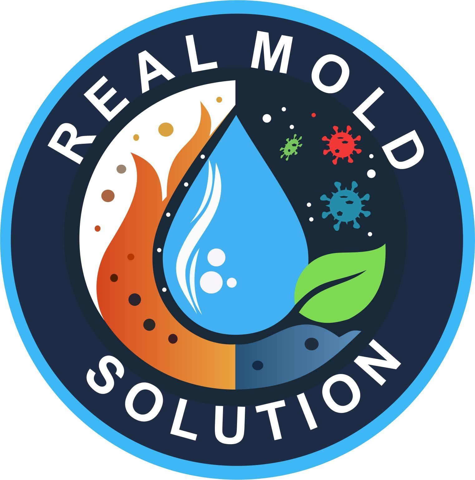 Real Mold Solution logo – Mold Inspection in Kissimmee, FL