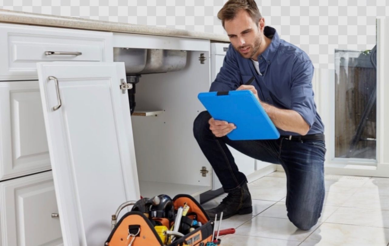 Professional mold inspection and remediation service in Kissimmee, FL