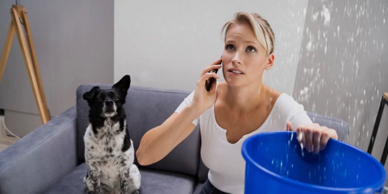 Professional mold inspection and remediation service in Kissimmee, FL