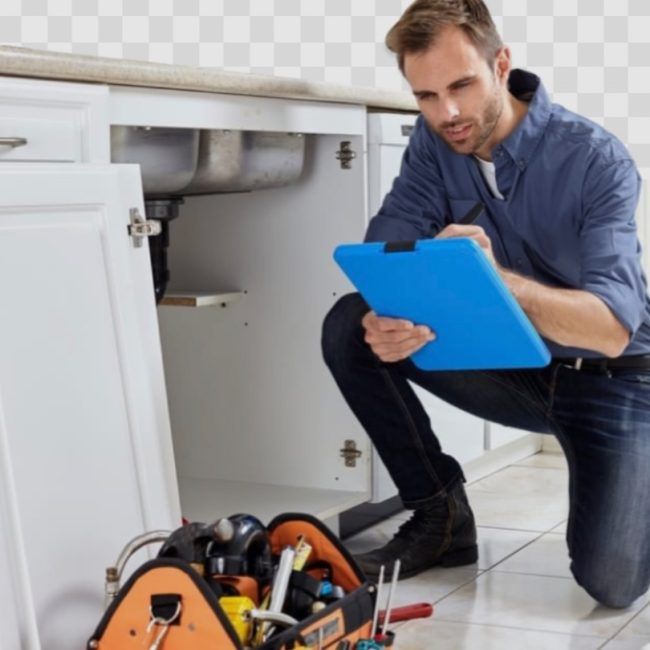 Professional mold inspection and remediation service in Kissimmee, FL