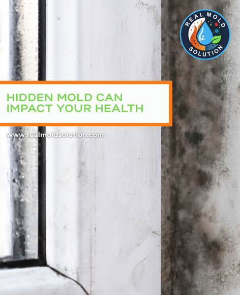 Professional mold inspection and remediation service in Kissimmee, FL