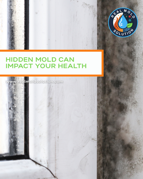 Professional mold inspection and remediation service in Kissimmee, FL