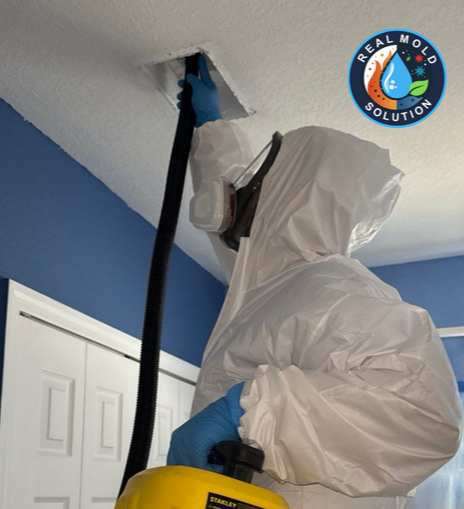 Professional mold inspection and remediation service in Kissimmee, FL